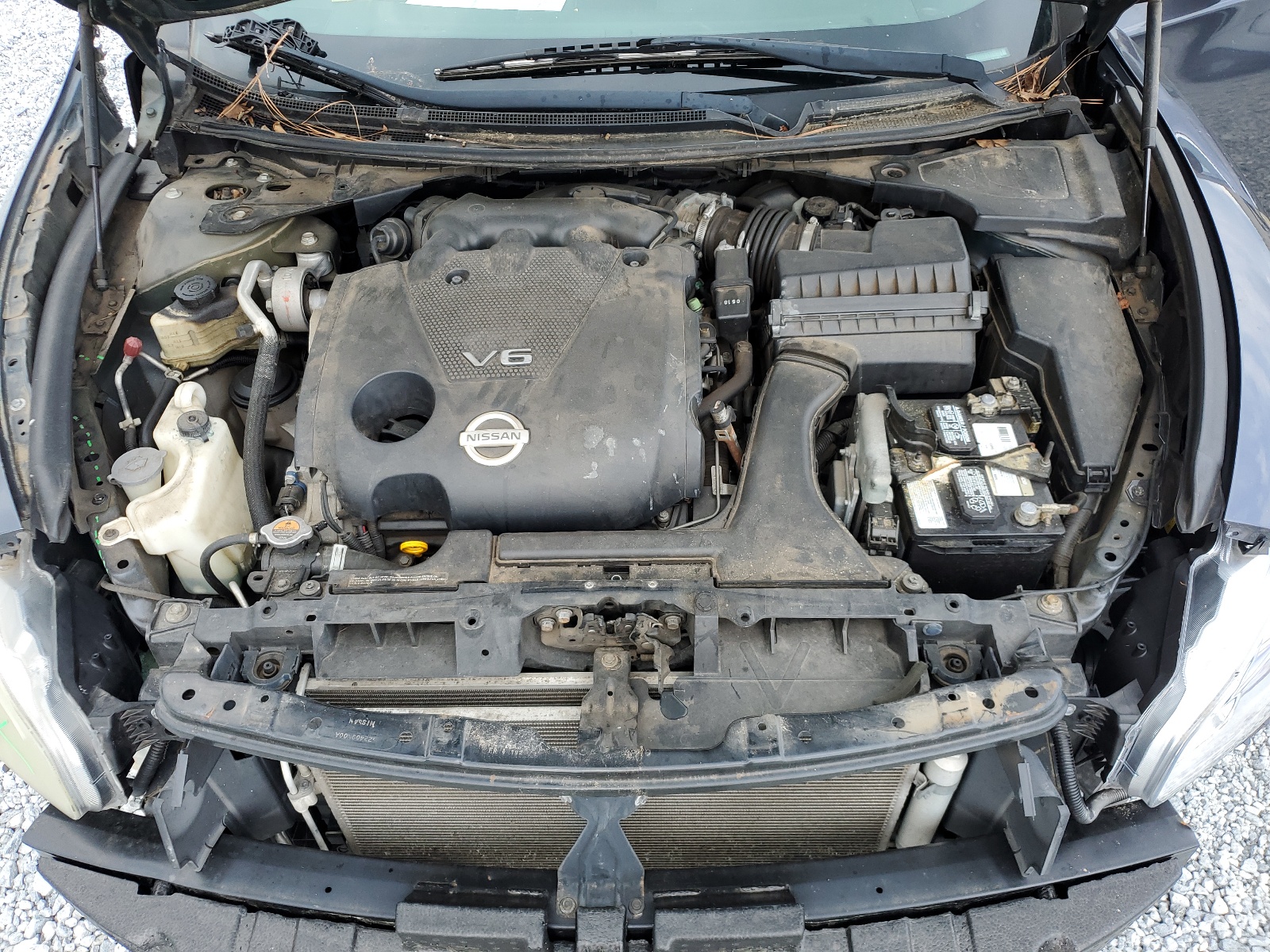 1N4AA5AP1AC870453 2010 Nissan Maxima S