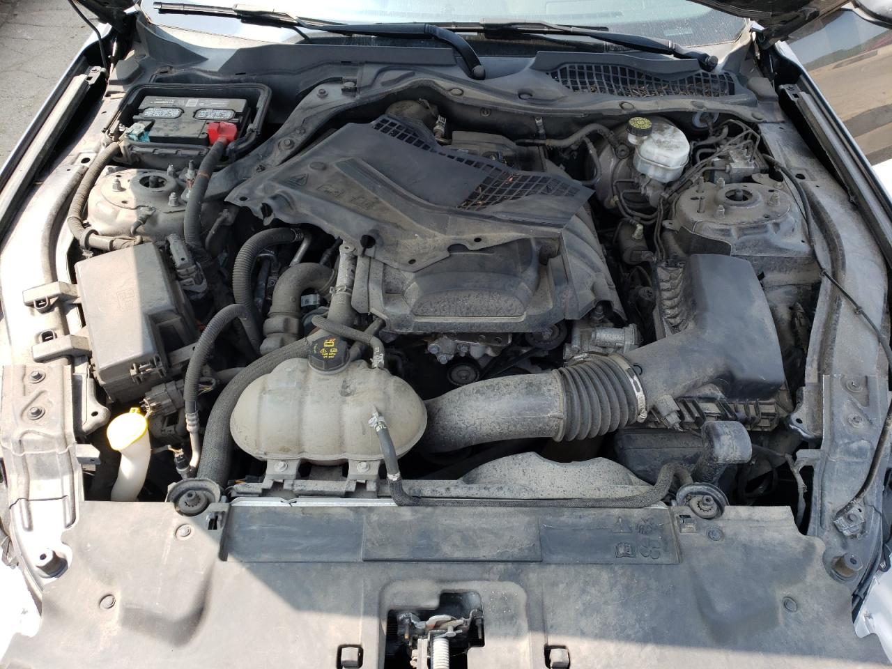 2019 Ford Mustang VIN: 1FA6P8THXK5111804 Lot: 64445104