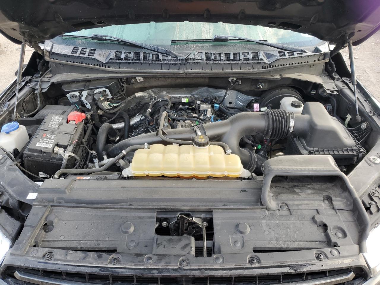 2019 Ford F150 Supercrew VIN: 1FTEW1CP0KKF09242 Lot: 63800714