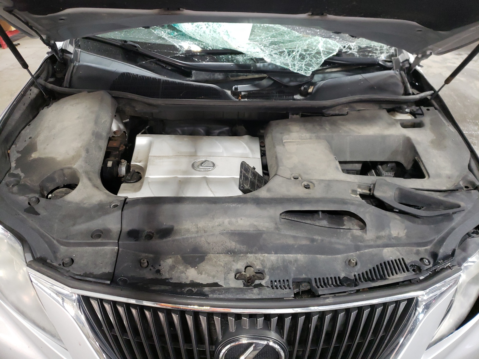 2T2BK1BA1BC081142 2011 Lexus Rx 350