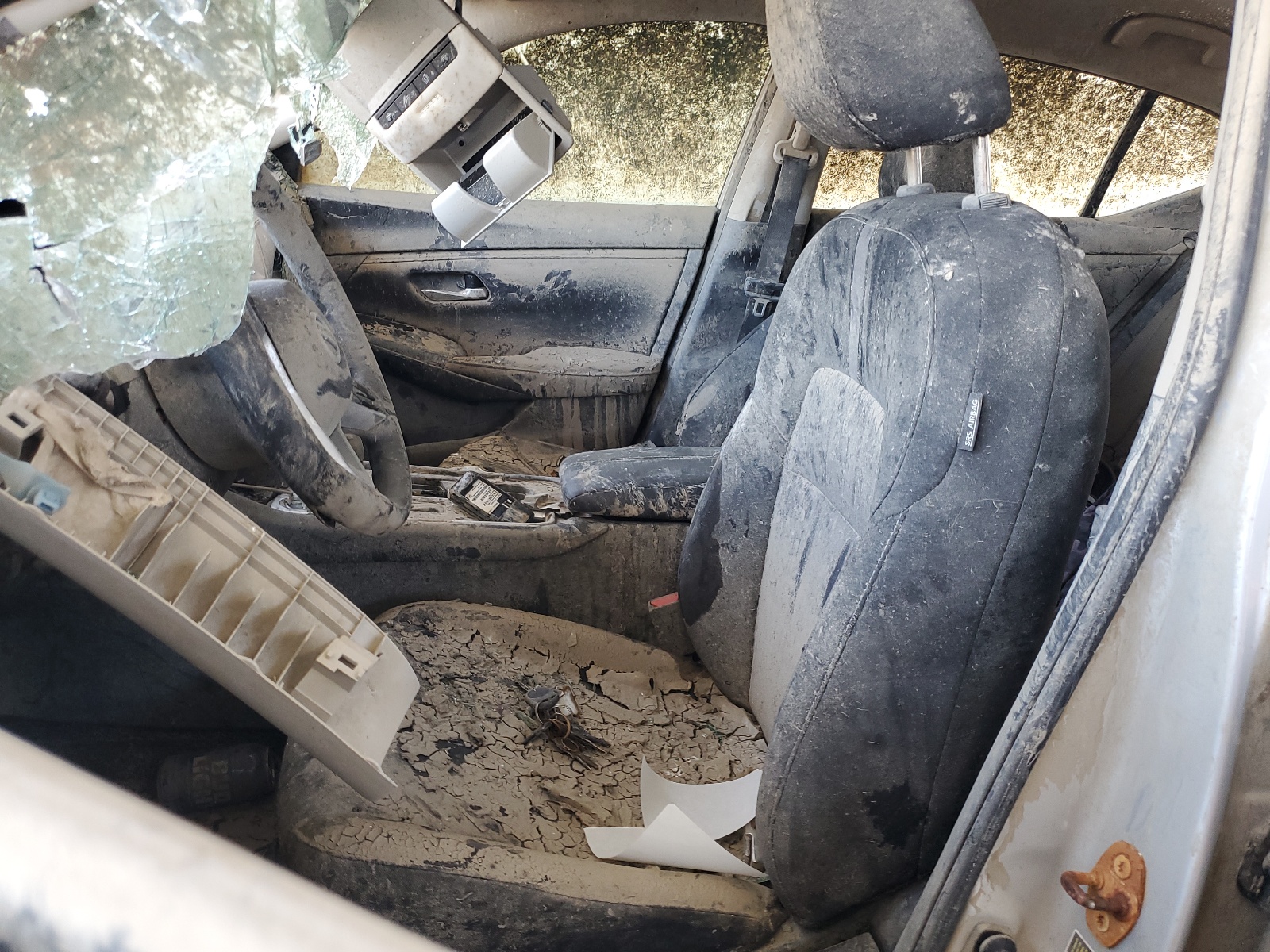 3N1AB8CV0PY300290 2023 Nissan Sentra Sv