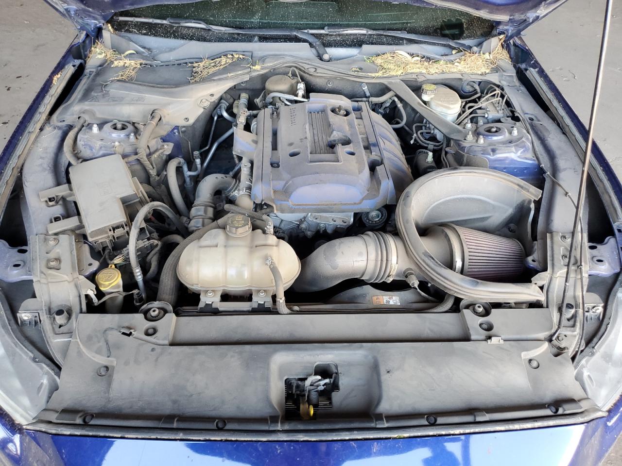 2016 Ford Mustang VIN: 1FA6P8TH6G5273999 Lot: 64210574