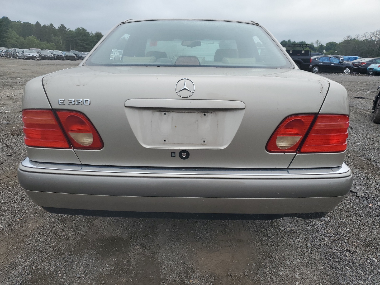 WDBJF55F4VA281698 1997 Mercedes-Benz E 320