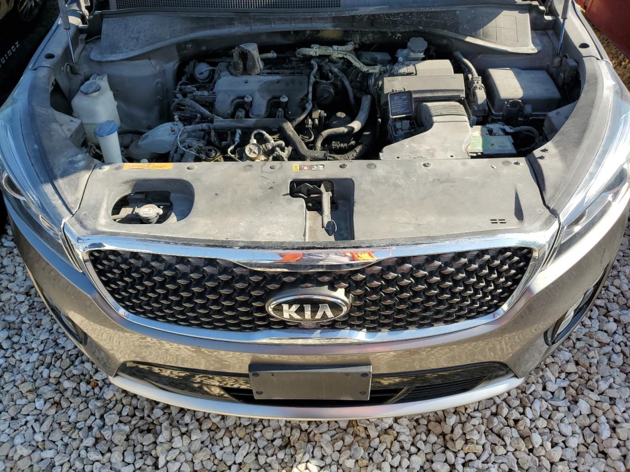 VIN 5XYPK4A52GG070954 2016 KIA SORENTO no.12