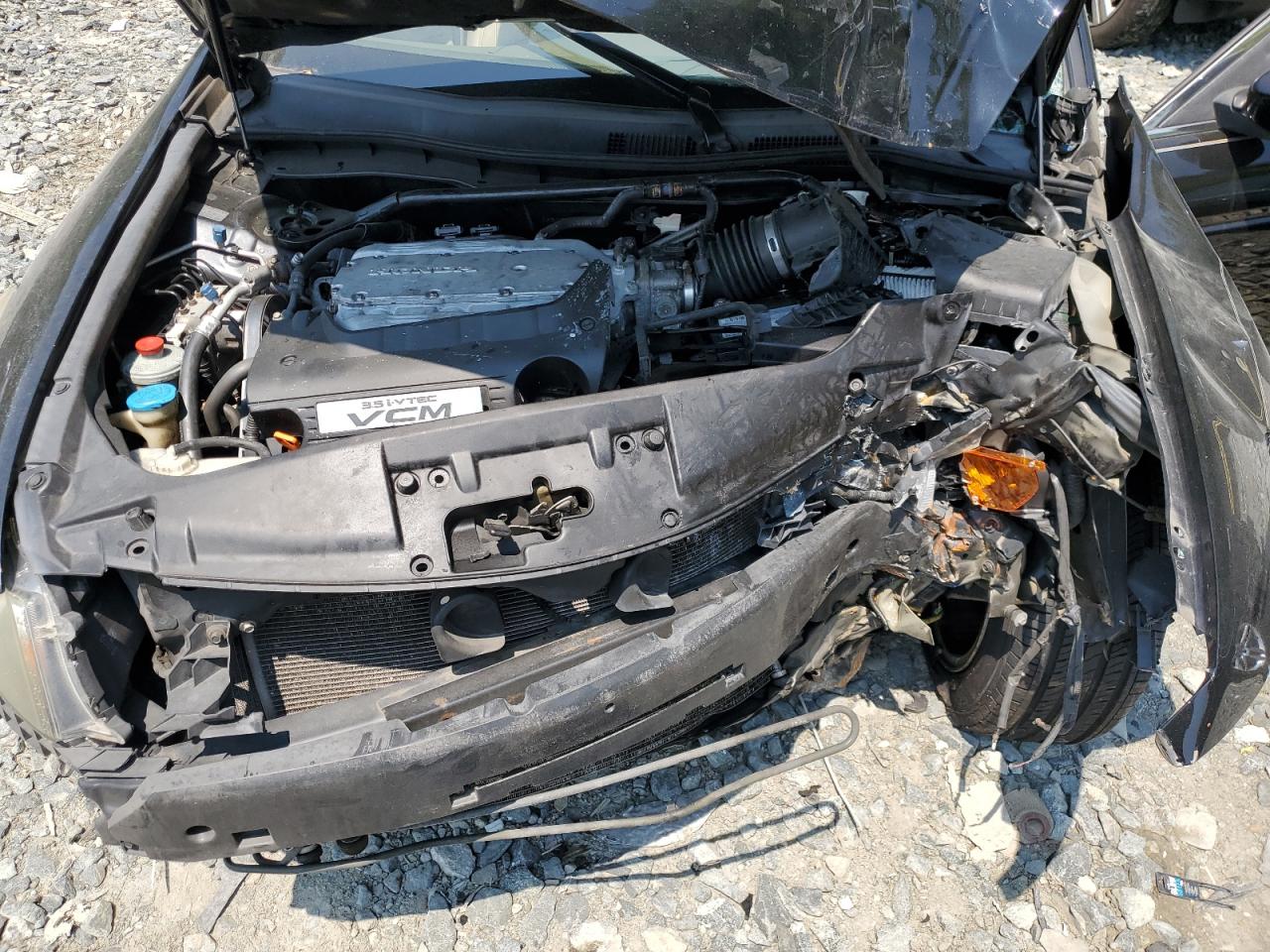 2009 Honda Accord Exl VIN: 1HGCP36869A041880 Lot: 63114854