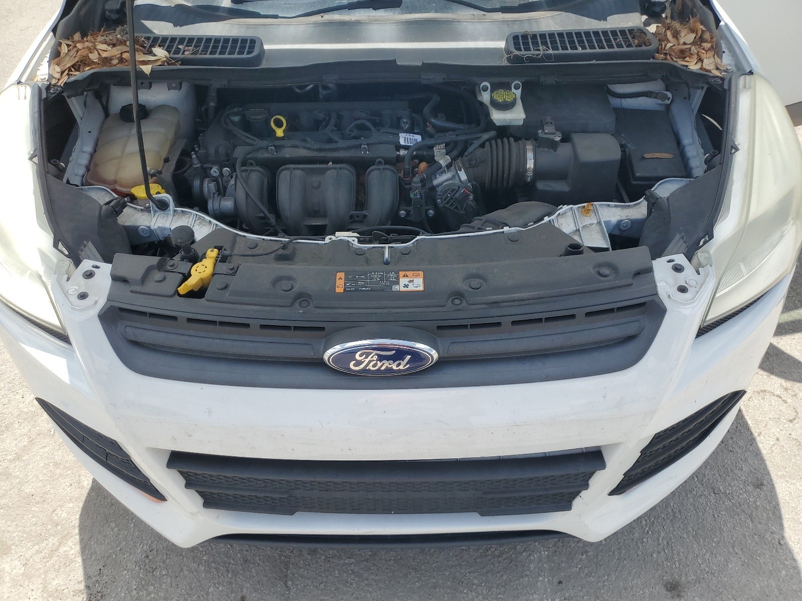 1FMCU0F75EUE45951 2014 Ford Escape S