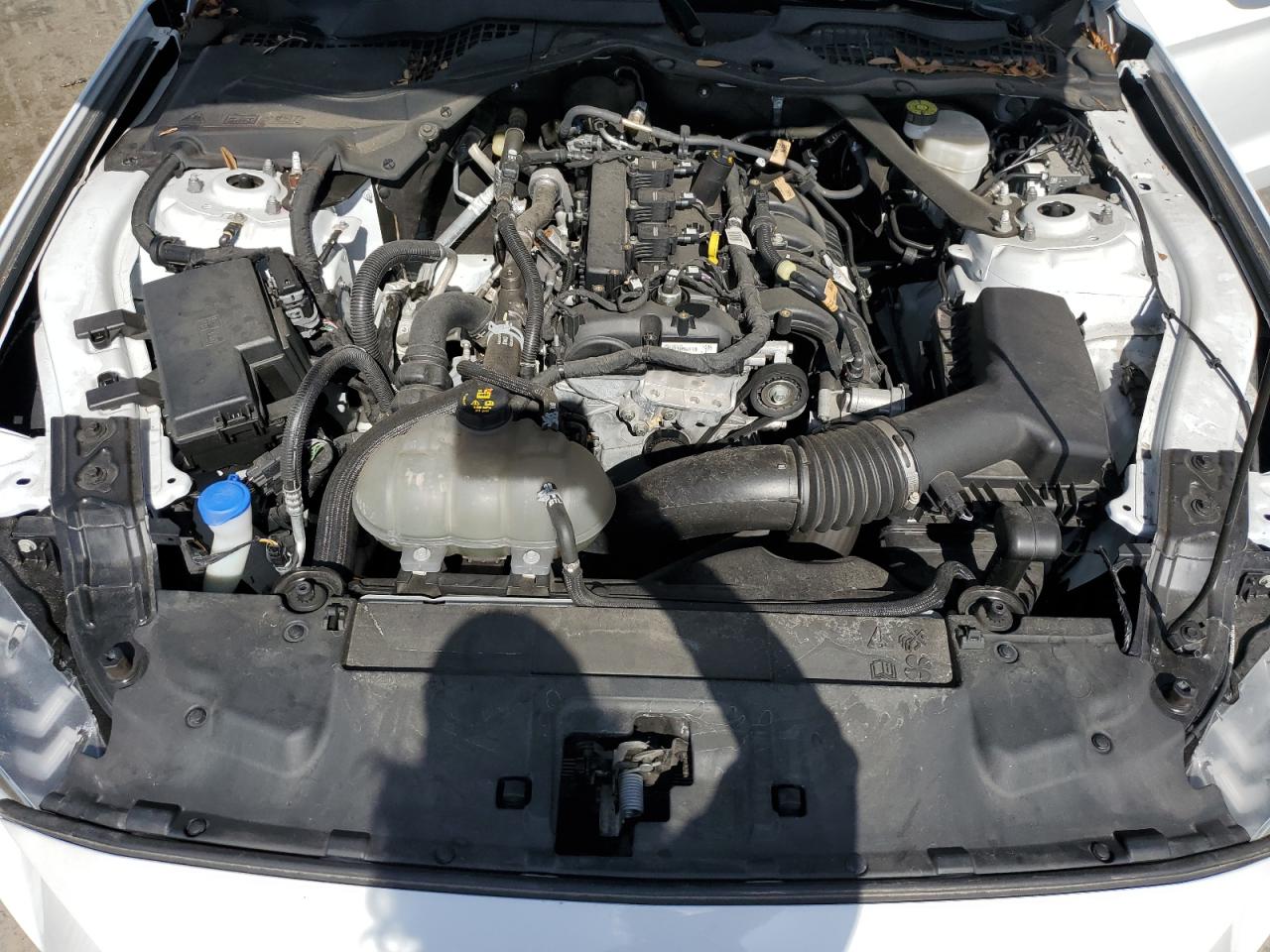 2022 Ford Mustang VIN: 1FATP8UH7N5104167 Lot: 64413064