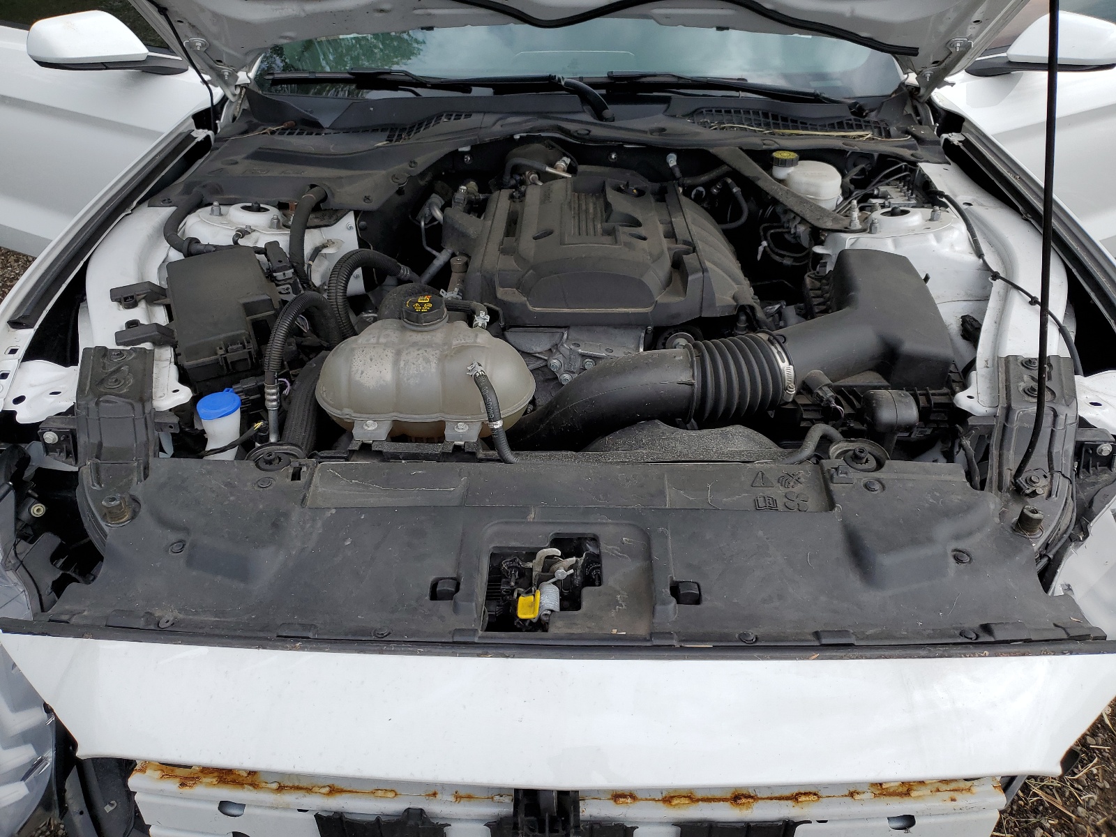 1FATP8UH1L5148713 2020 Ford Mustang