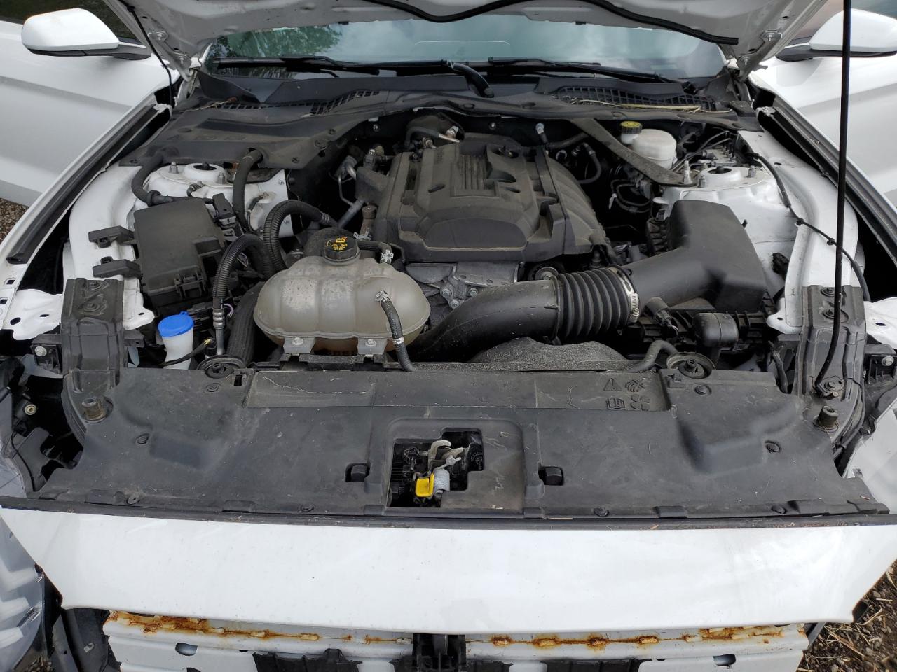 2020 Ford Mustang VIN: 1FATP8UH1L5148713 Lot: 62186364