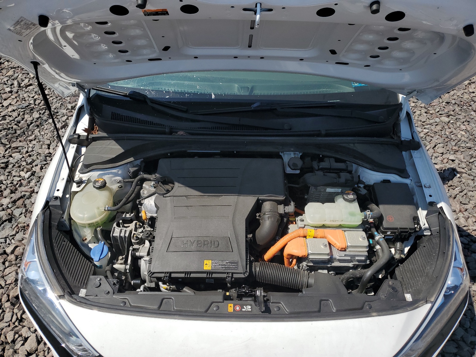 KMHC65LC8KU179099 2019 Hyundai Ioniq Blue