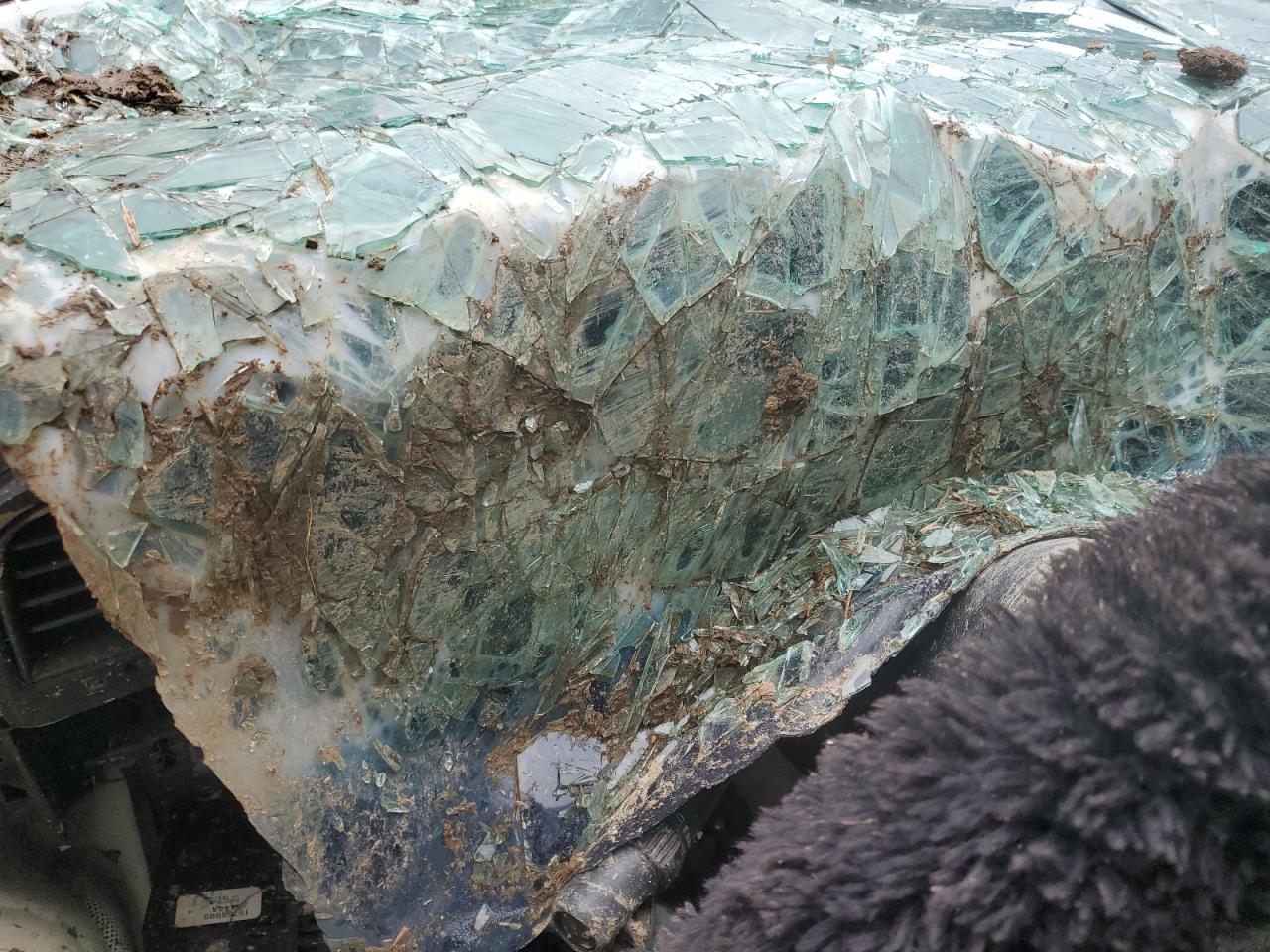 2001 Chevrolet Tahoe K1500 VIN: 1GNEK13T61J302083 Lot: 64507664