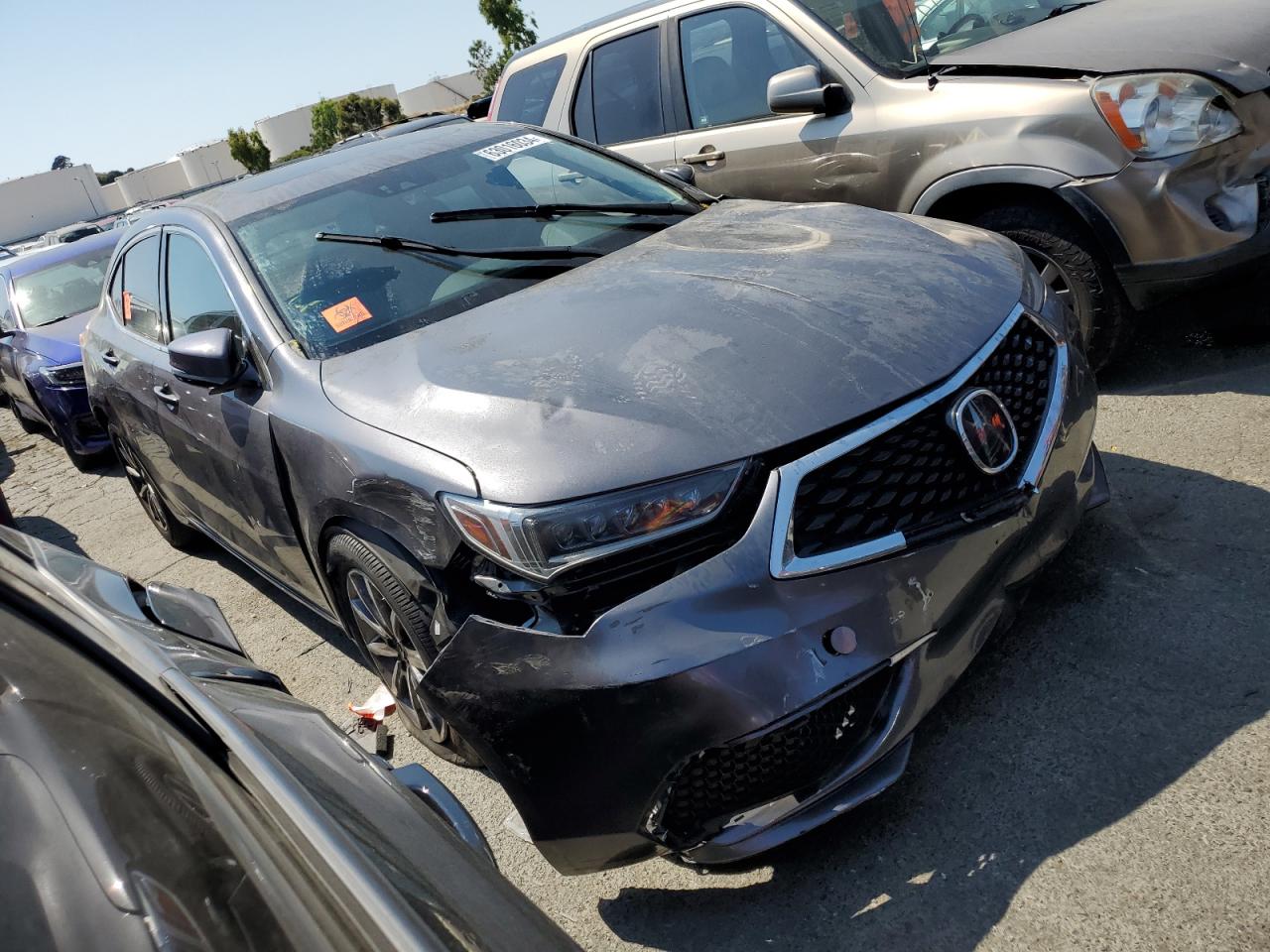 2020 Acura Tlx Technology VIN: 19UUB1F57LA013493 Lot: 63016034