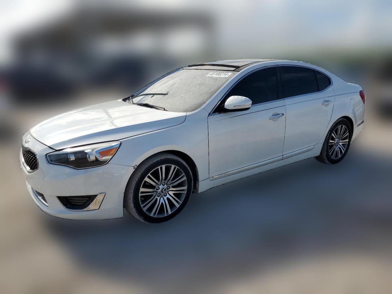 2014 Kia Cadenza Premium VIN: KNALN4D76E5135200 Lot: 65160214