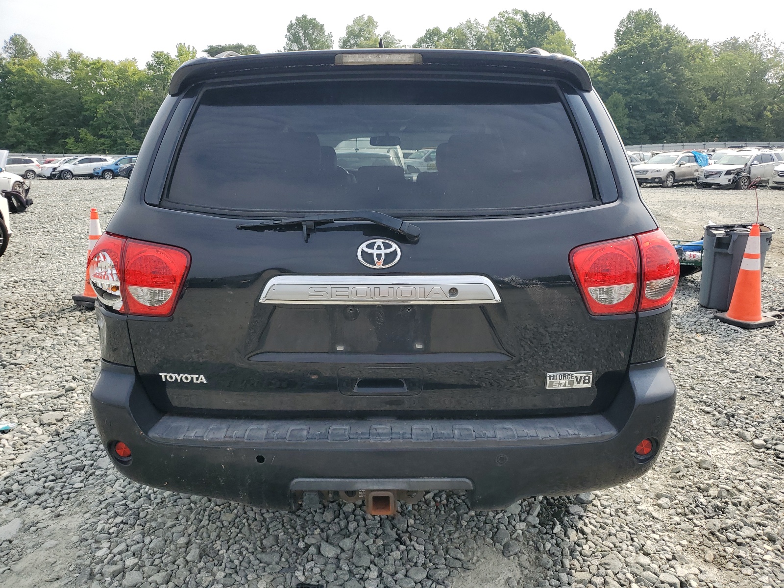 5TDYY5G12AS023186 2010 Toyota Sequoia Platinum