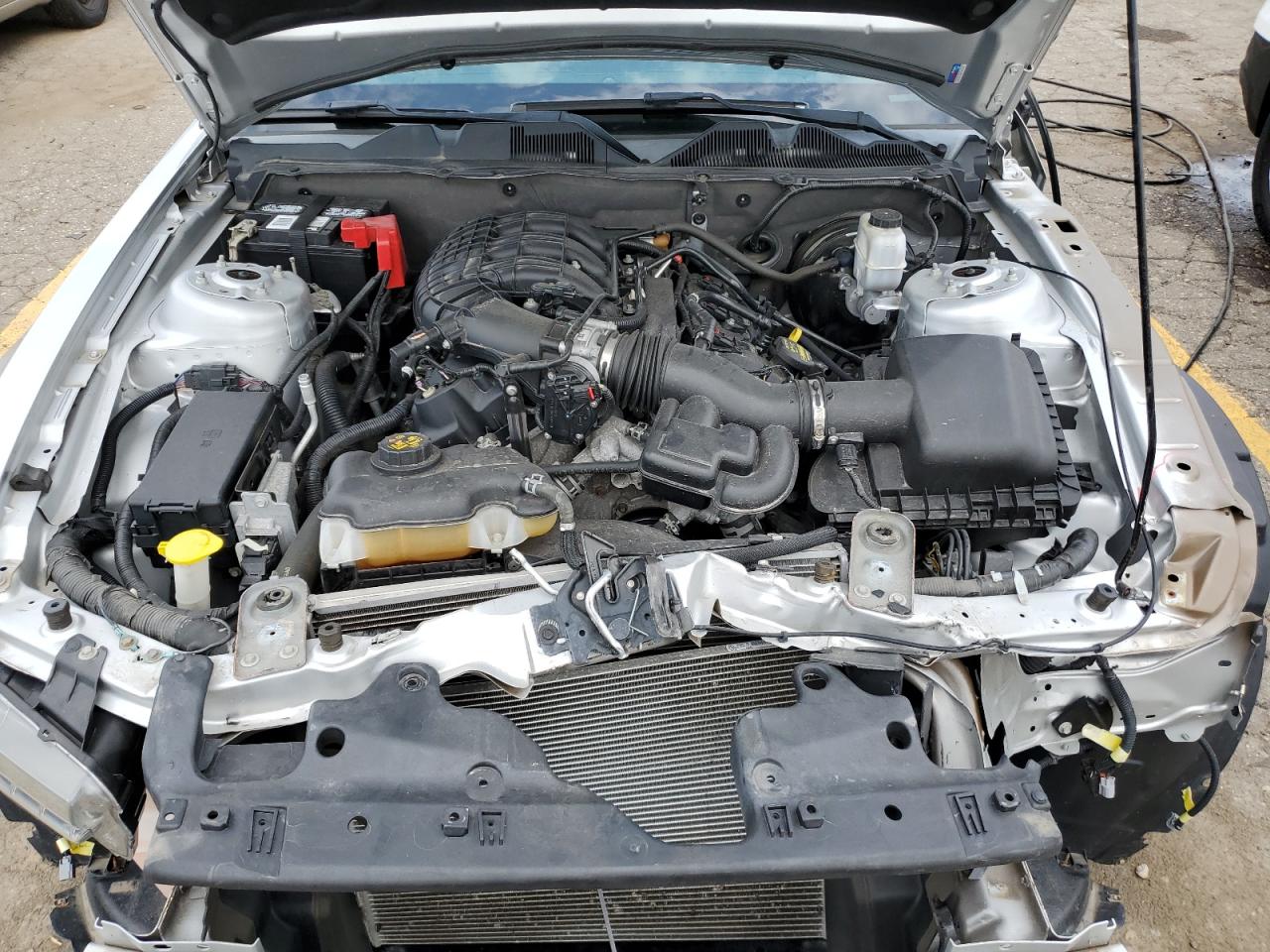 2013 Ford Mustang VIN: 1ZVBP8AM3D5254571 Lot: 64189804