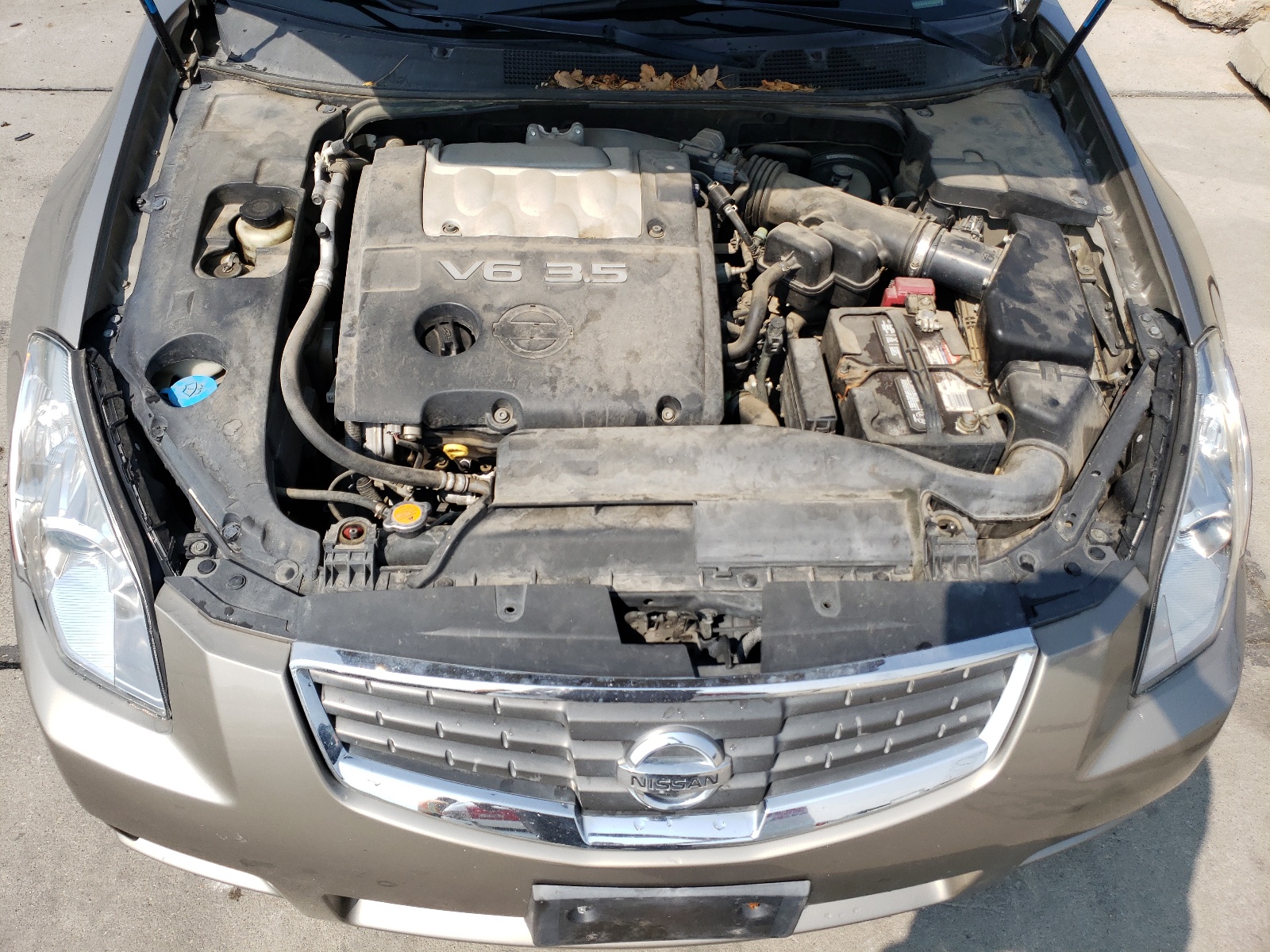 1N4BA41E48C804471 2008 Nissan Maxima Se