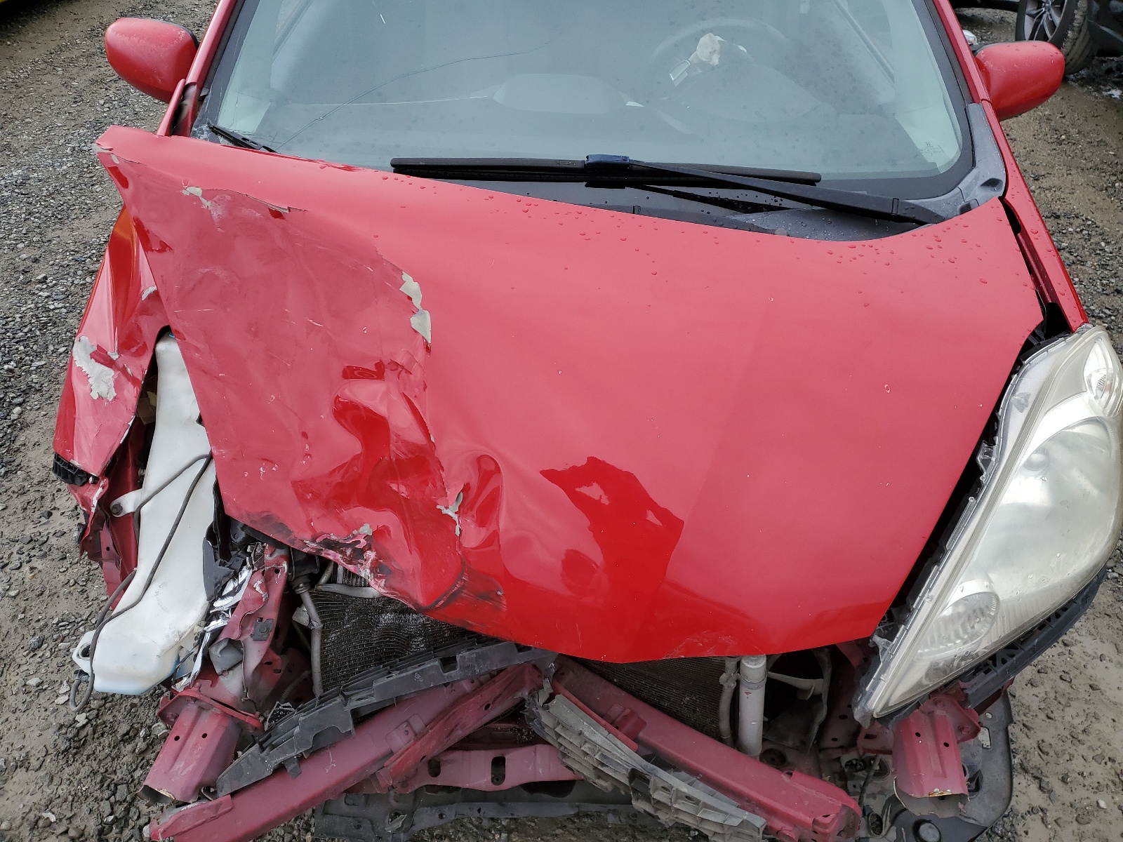 JHMGE8H44AC015489 2010 Honda Fit Sport