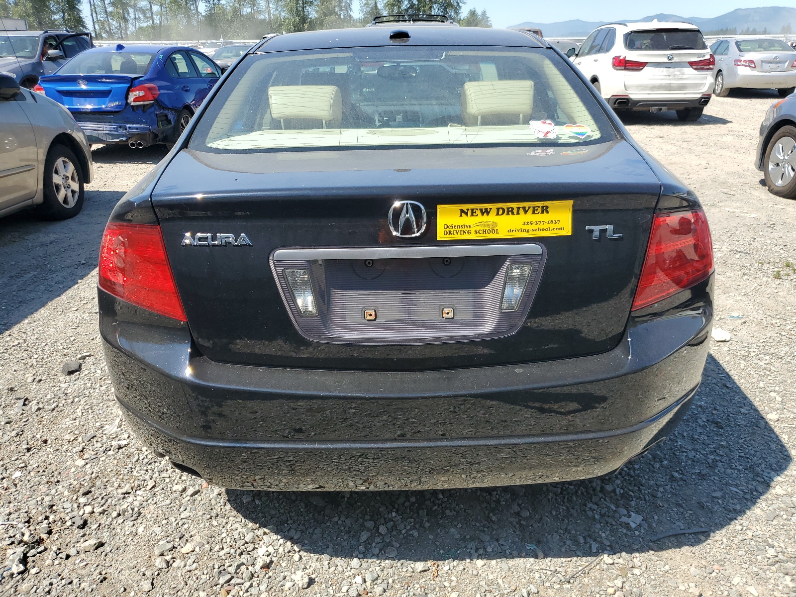 19UUA66236A016496 2006 Acura 3.2Tl