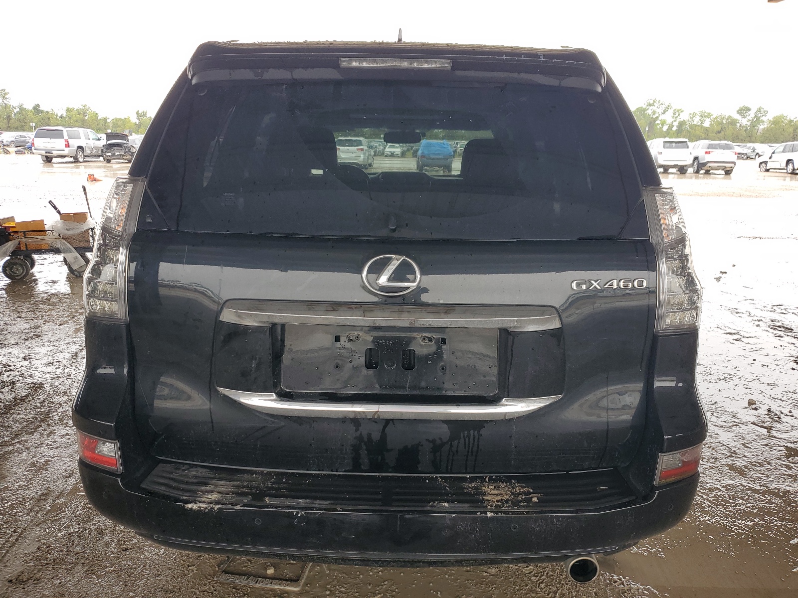 JTJJM7FX2H5178722 2017 Lexus Gx 460 Premium