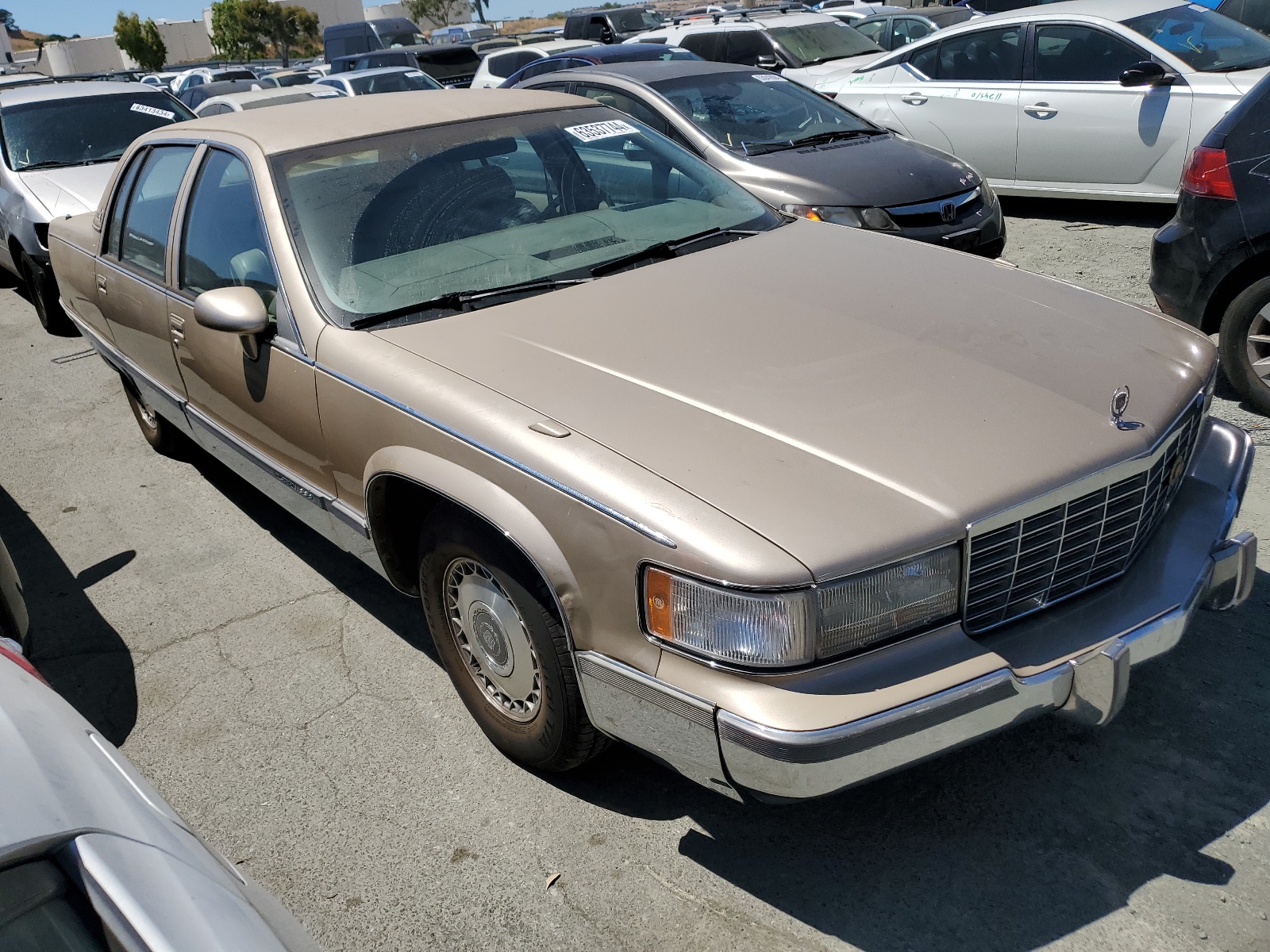 1G6DW5276PR713355 1993 Cadillac Fleetwood Chassis