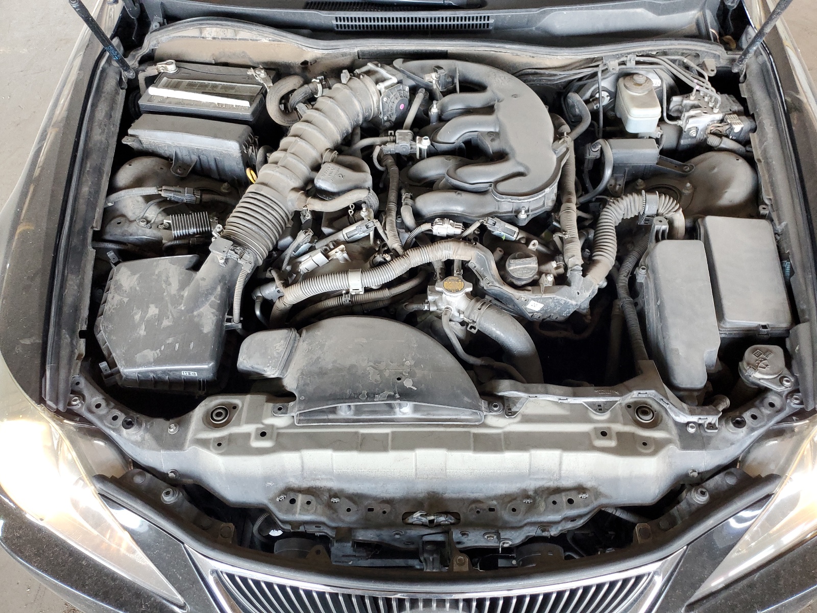 JTHBE262065008673 2006 Lexus Is 350