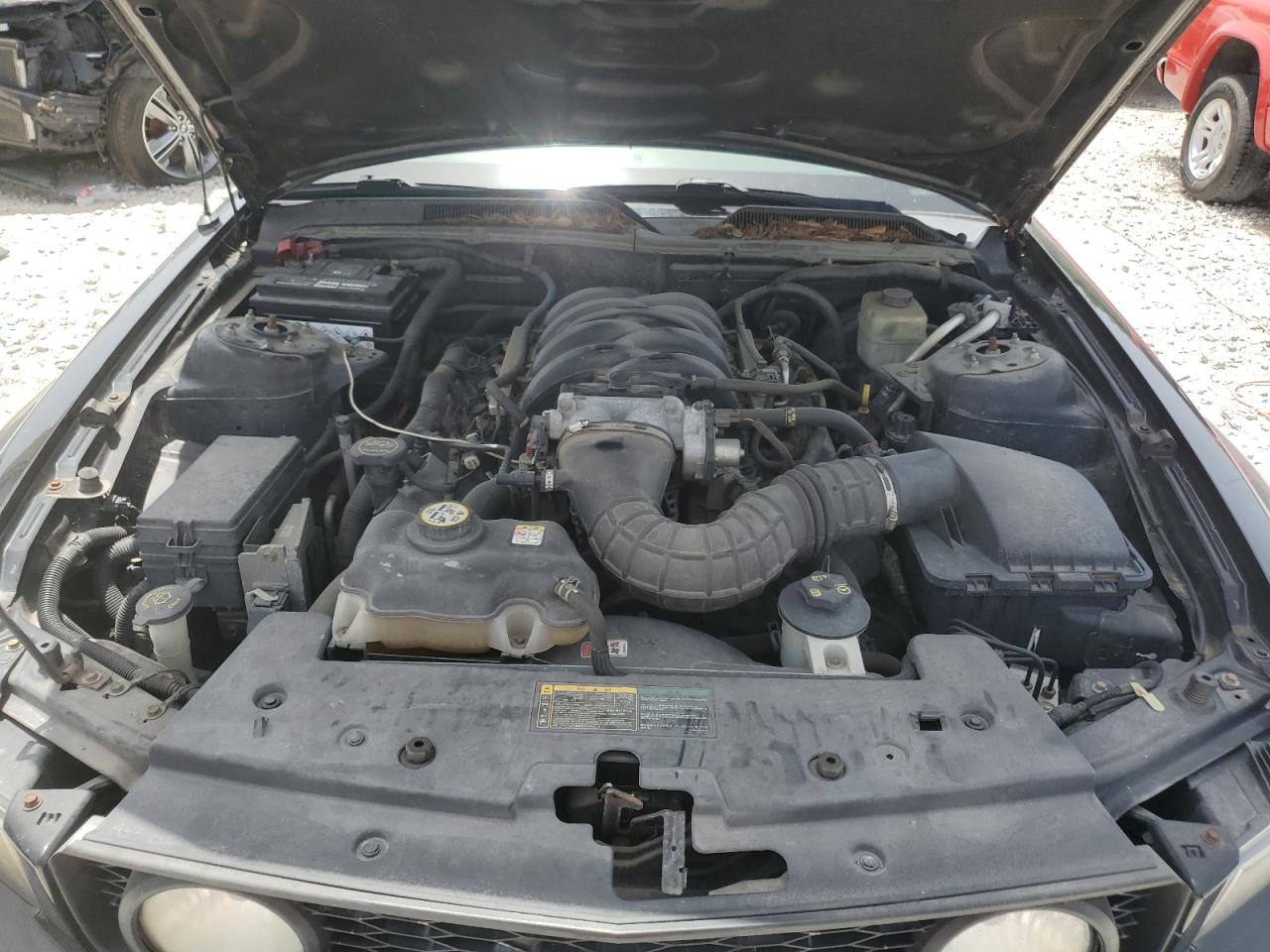 2006 Ford Mustang Gt VIN: 1ZVFT82H565247316 Lot: 65537124