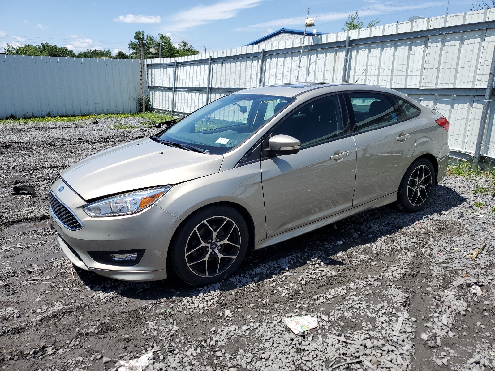 2015 Ford Focus Se vin: 1FADP3F20FL310556