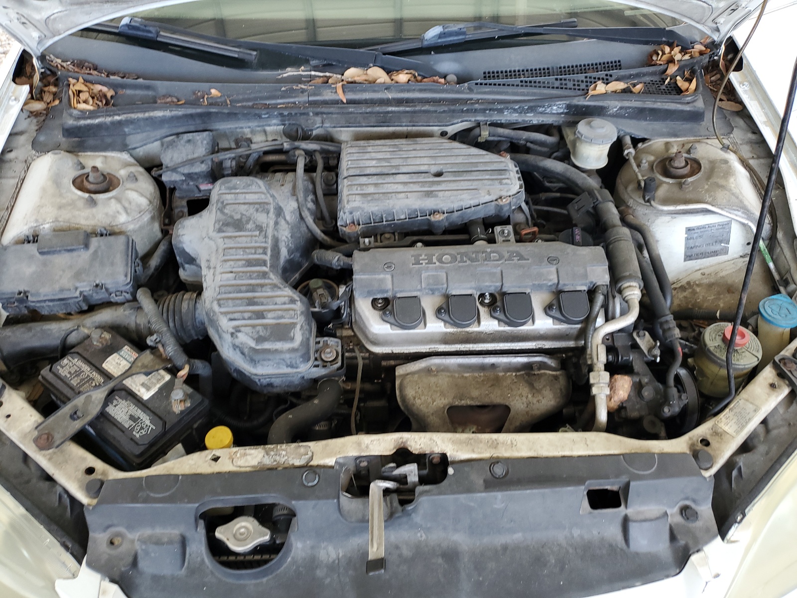 2HGES16524H607173 2004 Honda Civic Lx