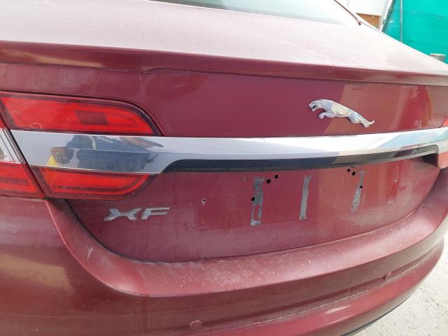 SAJAA06N7DPS70667 - 2013 JAGUAR XF - #60793874