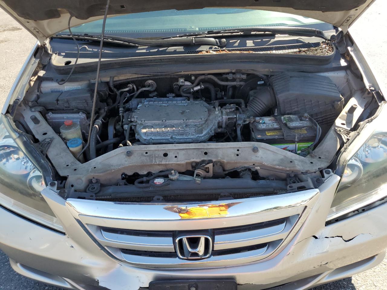 2006 Honda Odyssey Exl VIN: 5FNRL38766B426643 Lot: 64307404