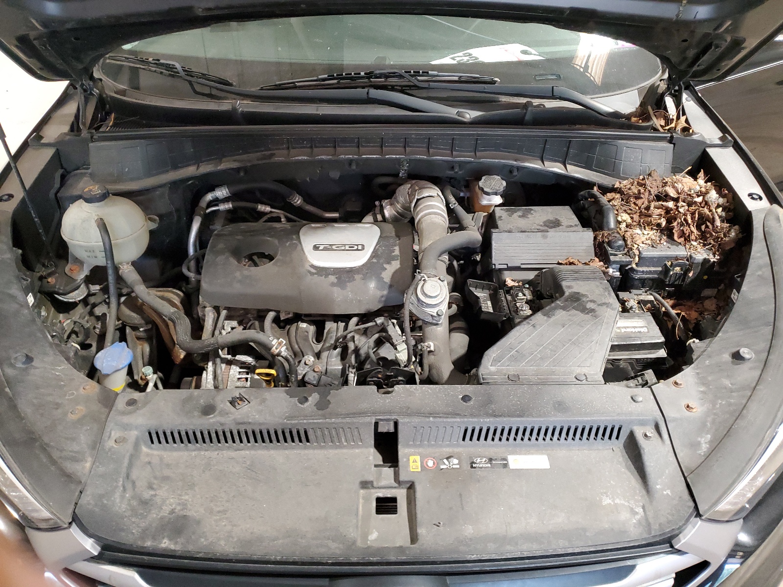 KM8J3CA21HU284705 2017 Hyundai Tucson Limited