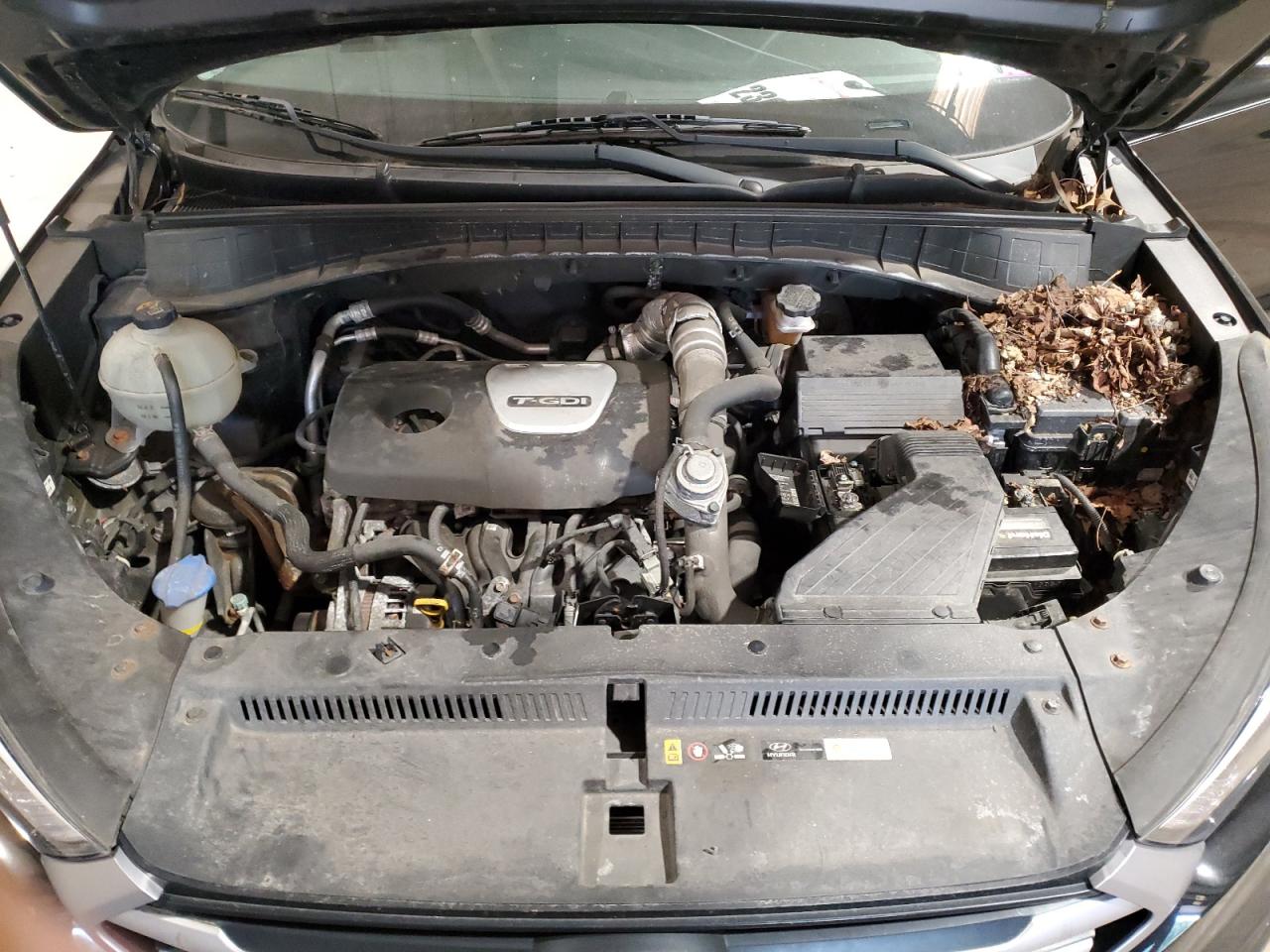 2017 Hyundai Tucson Limited VIN: KM8J3CA21HU284705 Lot: 63227484