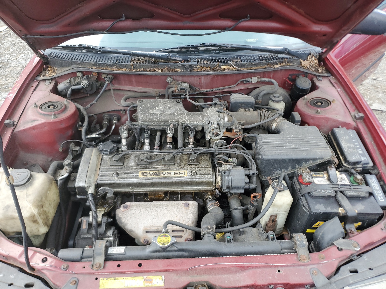 2T1AE09B0RC051110 1994 Toyota Corolla Le