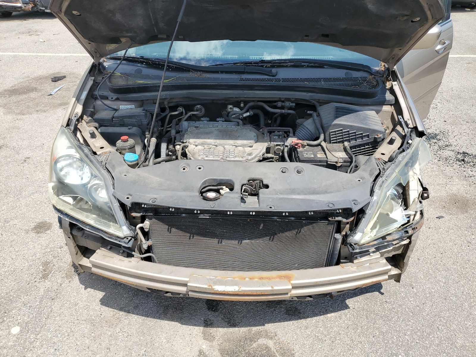 5FNRL38756B442722 2006 Honda Odyssey Exl