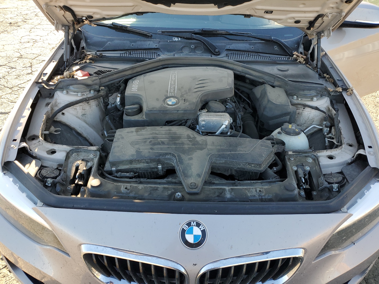 WBA1F9C53GV742286 2016 BMW 228 I Sulev