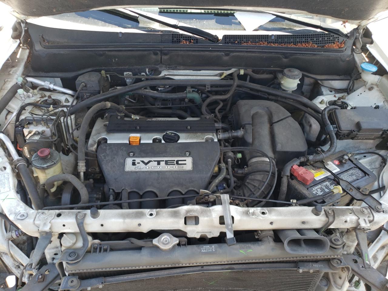 2004 Honda Cr-V Ex VIN: JHLRD78894C011410 Lot: 61691024