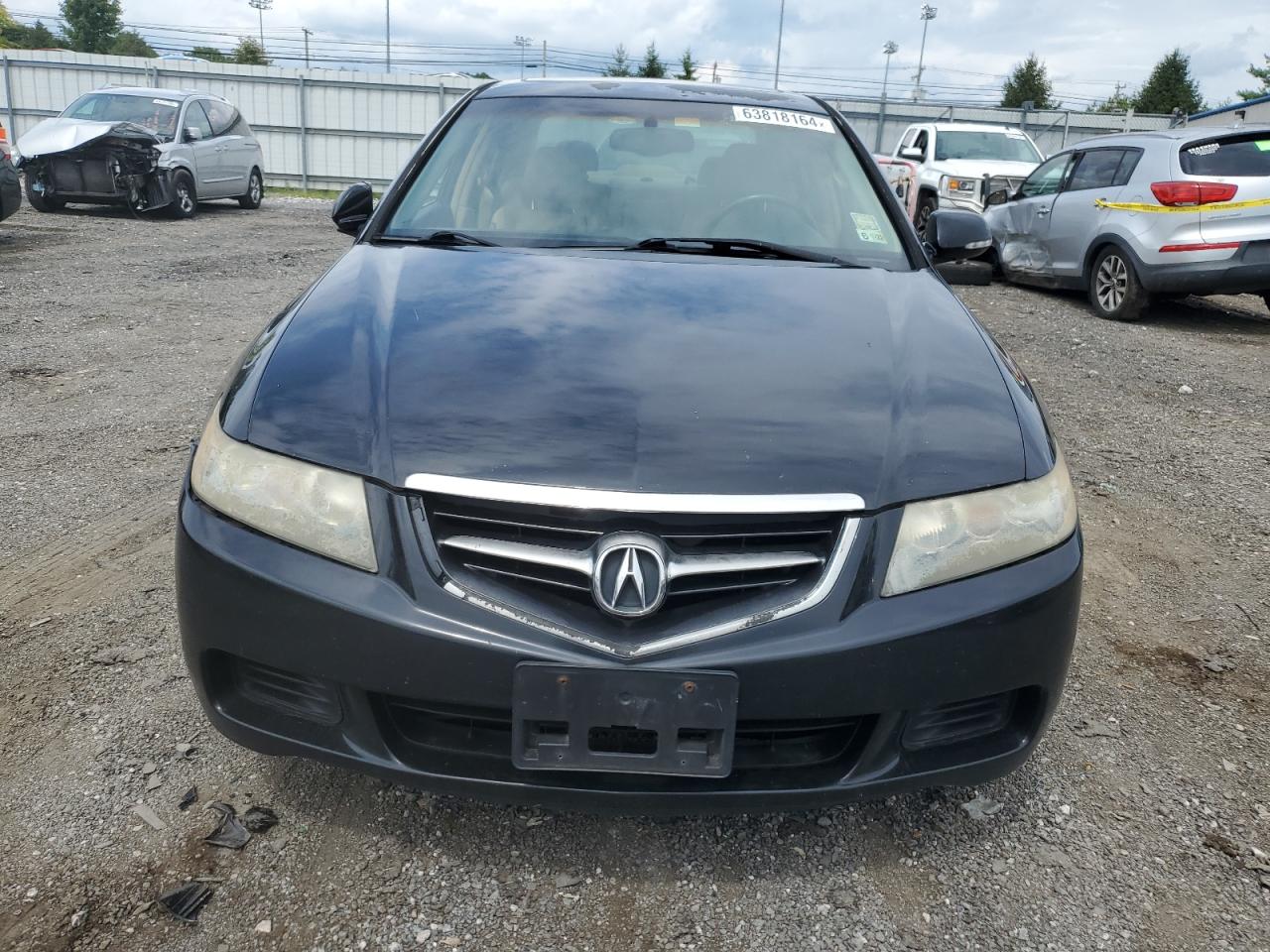 2004 Acura Tsx VIN: JH4CL96904C035445 Lot: 63818164