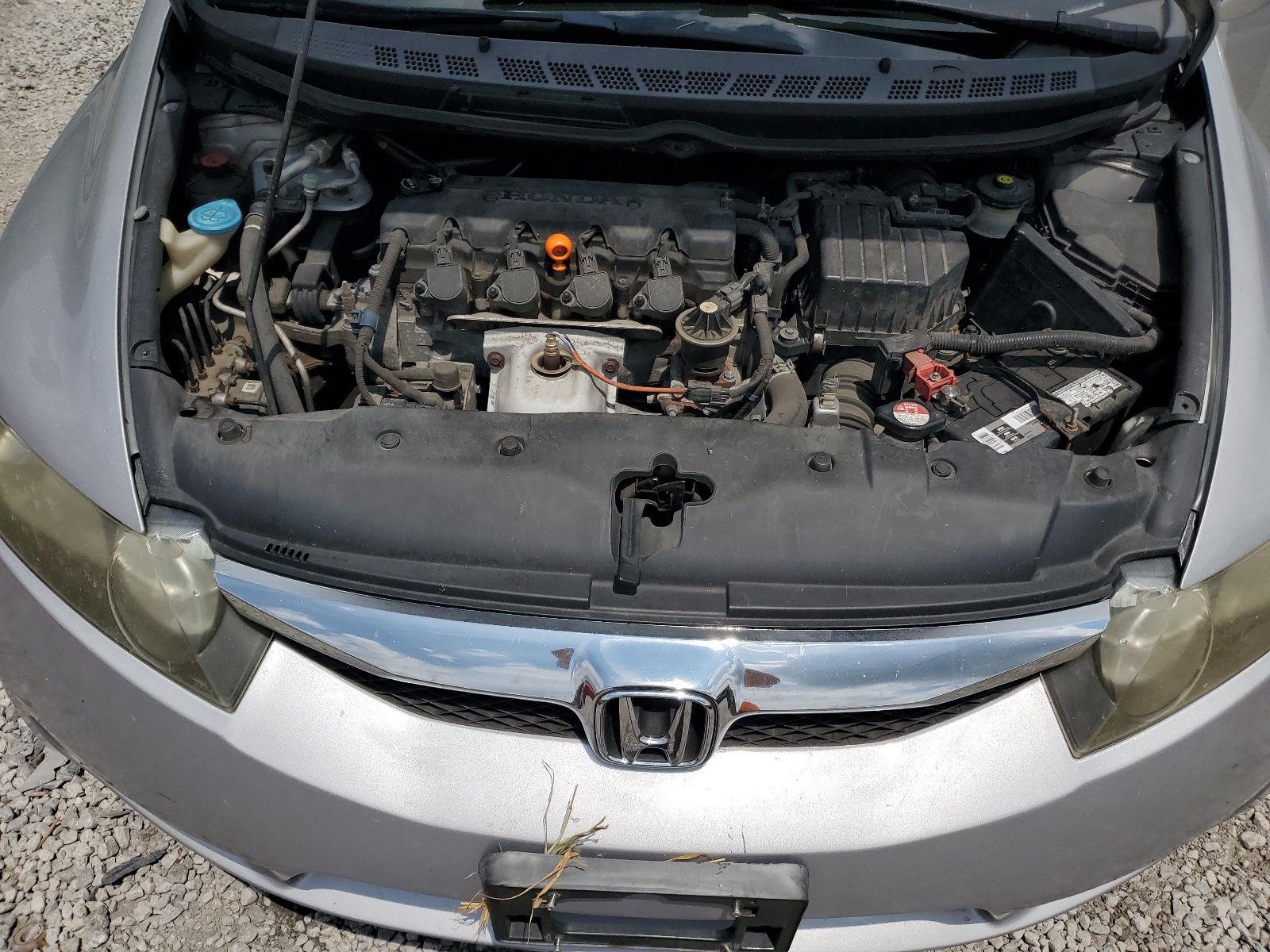 19XFA1F52AE031002 2010 Honda Civic Lx