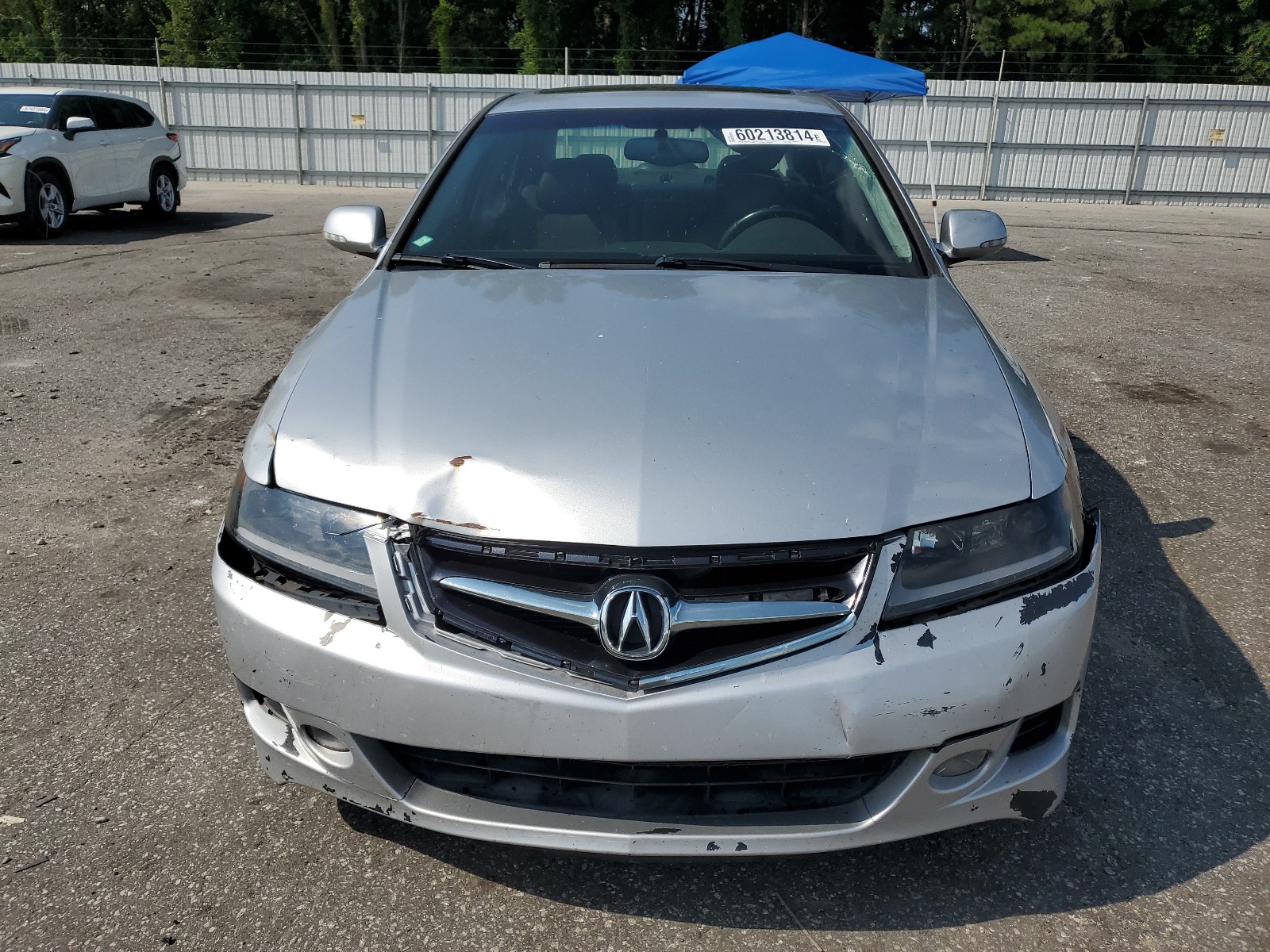 JH4CL96876C039065 2006 Acura Tsx