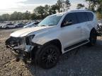2023 Lexus Gx 460 იყიდება Byron-ში, GA - Front End