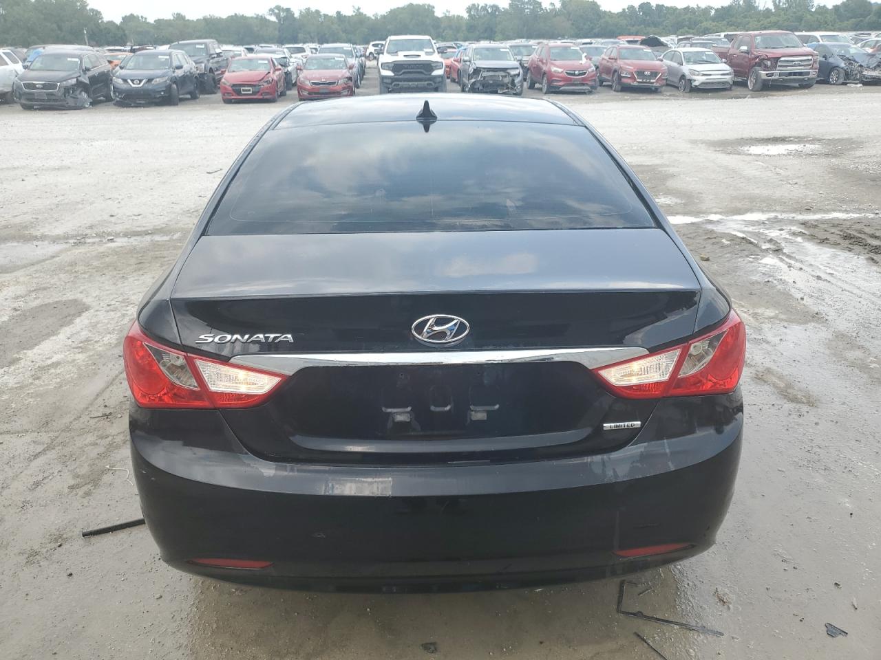 2013 Hyundai Sonata Se VIN: 5NPEC4AC3DH602154 Lot: 63249234