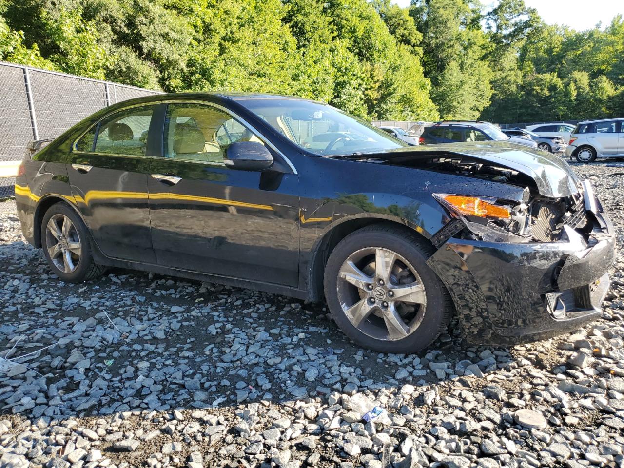 2009 Acura Tsx VIN: JH4CU26699C023165 Lot: 62067964