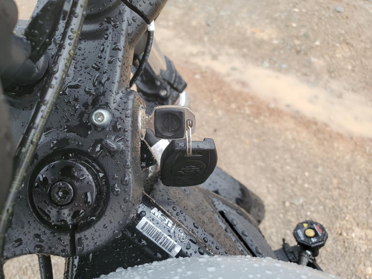 2024 Harley-Davidson Rh975 VIN: 1HD1ZH119RB301933 Lot: 64404514