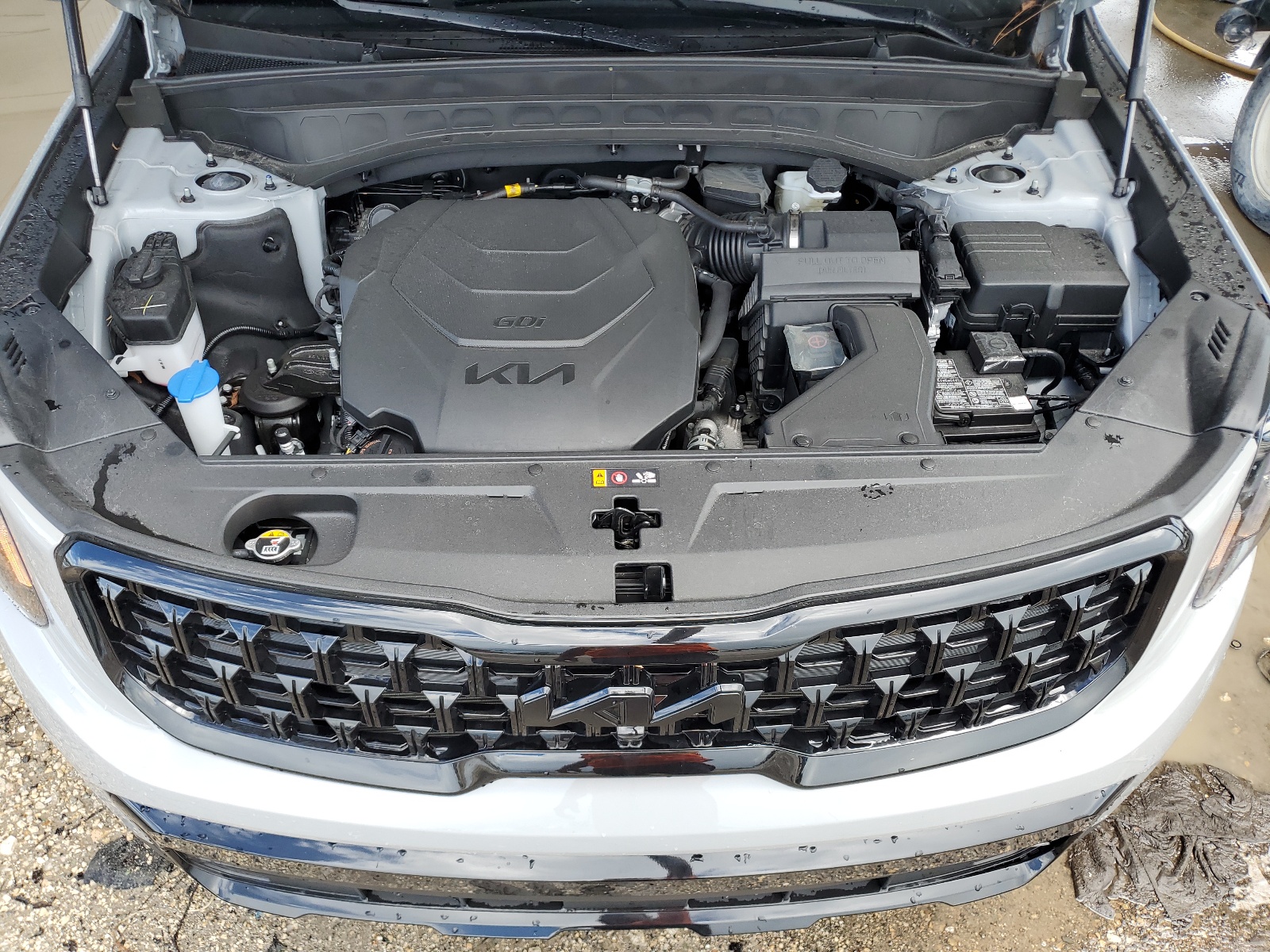 5XYP5DGC0RG462234 2024 Kia Telluride Sx