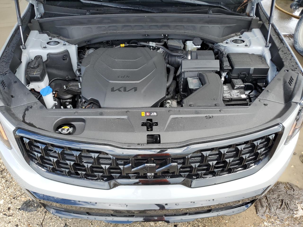 2024 Kia Telluride Sx VIN: 5XYP5DGC0RG462234 Lot: 61014504