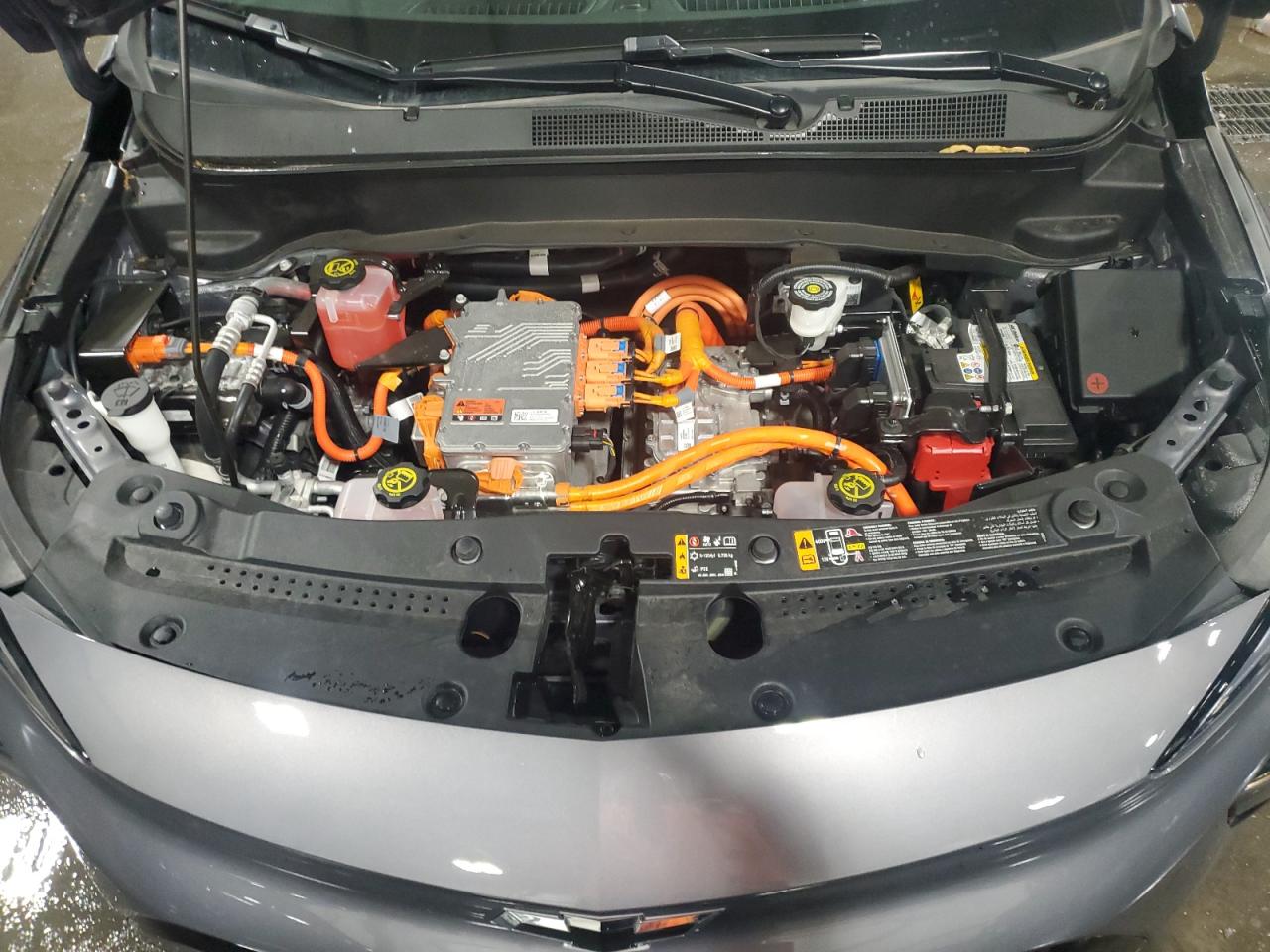 2023 Chevrolet Bolt Euv Premier VIN: 1G1FZ6S0XP4120884 Lot: 64561314