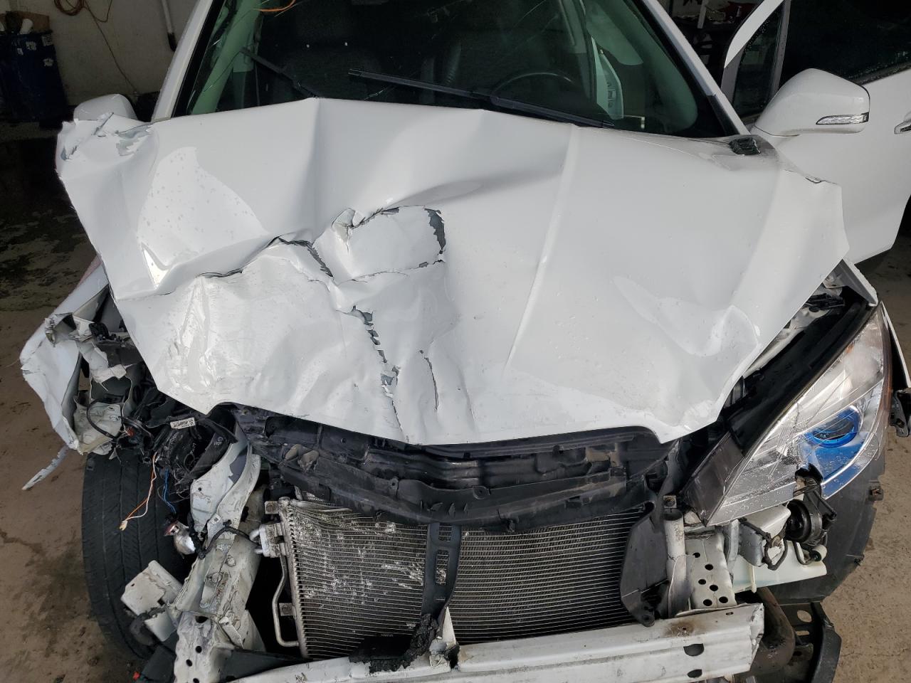 2016 Buick Encore VIN: KL4CJASB7GB751801 Lot: 64205394