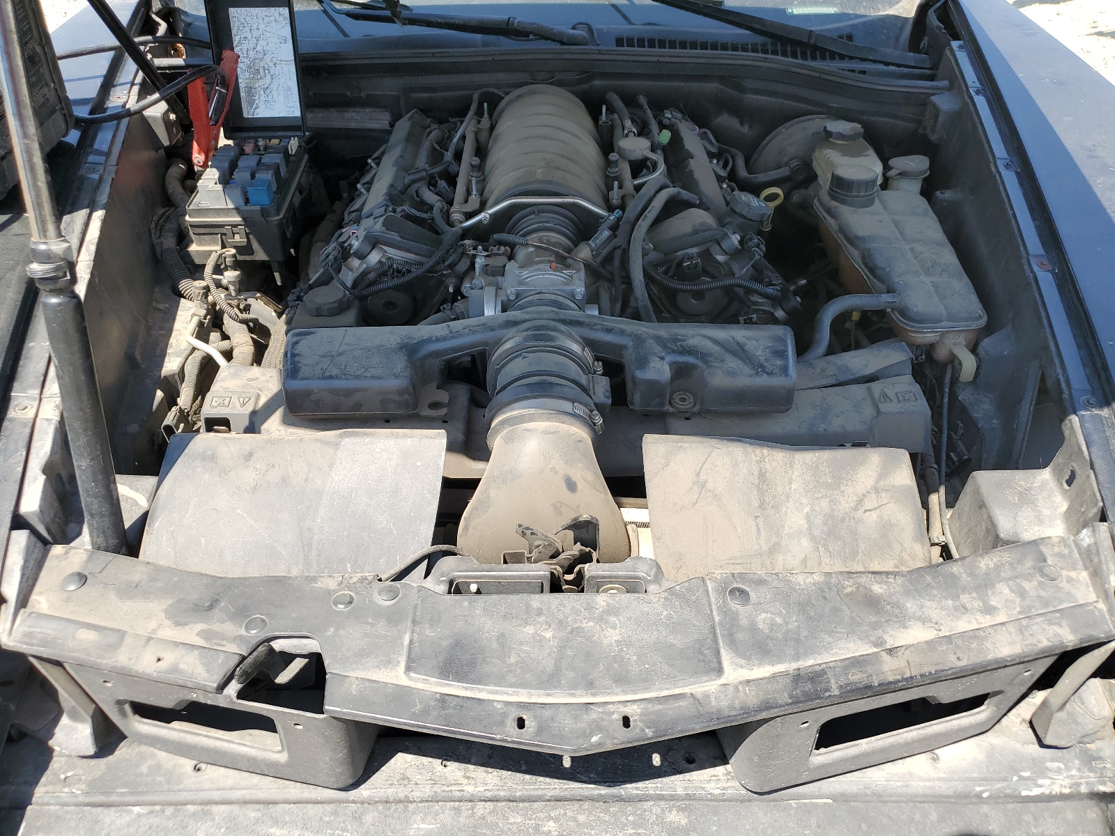 1G6YV34A555600843 2005 Cadillac Xlr