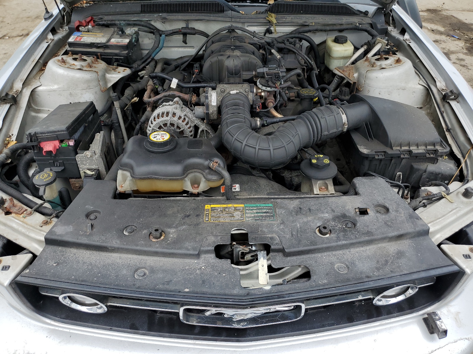 1ZVFT80N065243909 2006 Ford Mustang