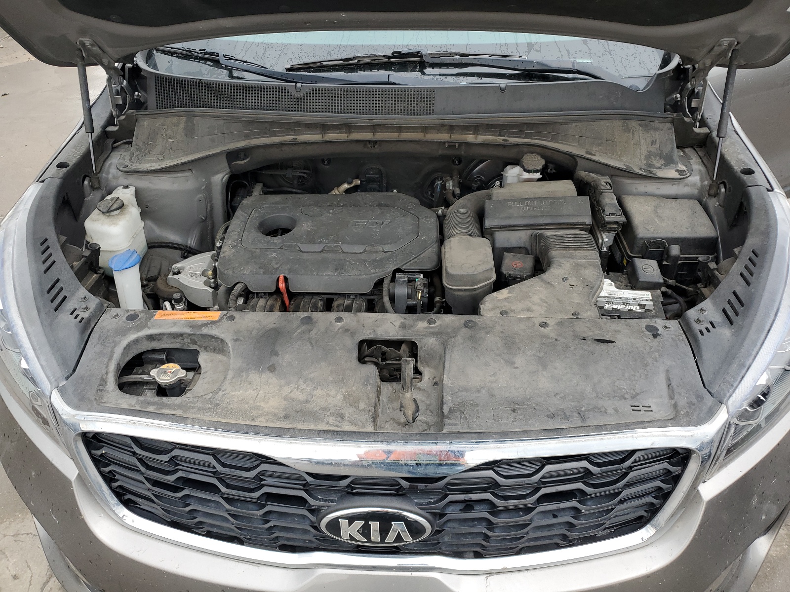 5XYPG4A36KG534269 2019 Kia Sorento L